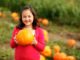 pumpkin patch
