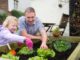 raised garden bed