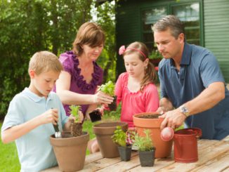 family herb garden