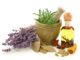 herbs and spices