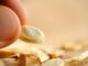 saving pumpkin seeds