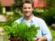starting herb garden