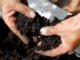 Black soil