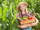 increase yields