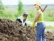 organic manure fertilizer