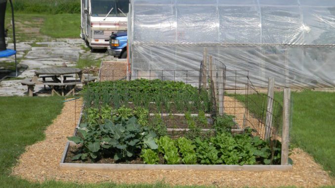 tips for raised garden beds