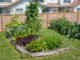 garden on budget