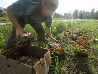 FDA rules organic farm