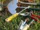 garden tools