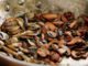 shiitake mushroom eating