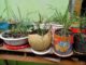 garden repurposing