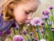 children herb garden