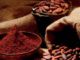 How to grow cocoa in a greenhouse