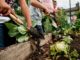 How Self-Reliance Can Save America