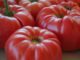 How to grow the biggest veggies this summer