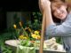 Summer Garden Maintenance ‘Musts’