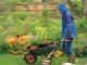 Wet-Weather Gardening: 6 Tips When The Rain Just Won’t Go Away