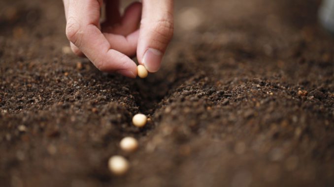 planting seeds -- venturebeatDOTcom