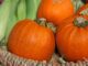 10 Fall Garden Tricks You Should Try Before Winter
