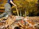 Essential Pre-Winter Chores Most Gardeners Simply Forget