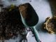 Here's The Best Use For Your Old Potting Soil
