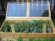 Everything You Wanted To Know About Cold Frames (But Were Embarrassed To Ask)
