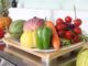 How To Find Fresh Vegetables During Winter (When You Have None At Home)