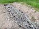 Hugelkultur: The Centuries-Old, Weed-Free, German Way To Garden
