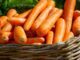 9 Long-Lasting Vegetables That Will Stay Fresh For MONTHS After Harvest