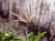 3 Surefire, Guaranteed Ways To Keep Weeds Out Of This Year's Garden