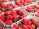 Strawberries And Onions: The Gardening Odd Couple That Always Should Be Planted Together