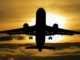 I’m Going On Vacation – Is My Garden Doomed?