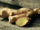 How To Grow (And Harvest) Ginger Indoors ... Without Killing It