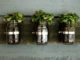 The Space-Saving Indoor Garden You Can Easily Build At Home