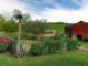 7 New Year’s Resolutions Every Gardener Should Make