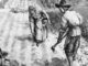 10 Strange (And Common) Vegetables Your Ancestors Planted