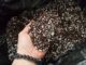 How To Turn Ordinary Garden Soil Into Organic Potting Mix