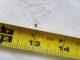 DIY Seed Tape: The Fast, Easy Project That Saves Time And Money