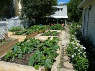Why You Should NEVER Use Rows In Your Garden Again