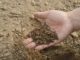 4 Common Soil Problems (And How To Easily Fix Them)
