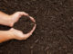 Everything You’ve Wanted To Know About Mulching (But Didn’t Want To Ask)