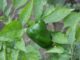 Your Garden Is An Ecosystem (And Here's 5 Things You're Probably Doing Wrong)