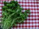 Simple And Easy Ways To Preserve Homegrown Herbs