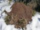 How To Keep Your Compost Pile Churning … All Winter Long
