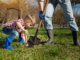 digging in soil