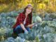 cabbage